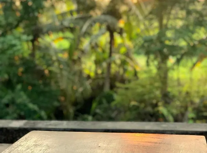 Dewi House Maison d'hôtes Ubud